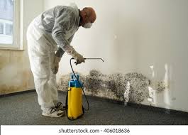 Best Mold Remediation for Healthcare Facilities  in Fort Llins, CO